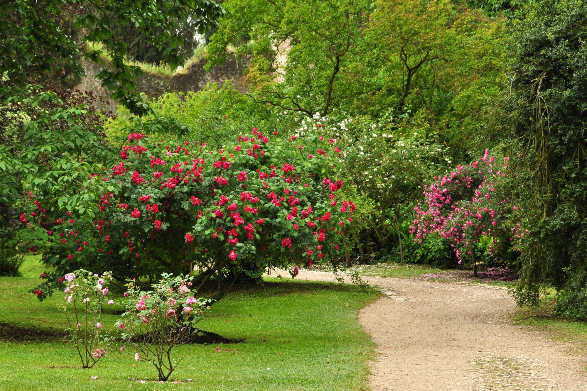 Giardino di Ninfa (Doganella)